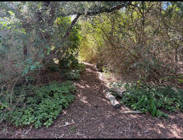 546M² VACANT LAND FOR SALE IN CONSTANTIA